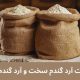 تفاوت آرد گندم سخت و آرد گندم نرم