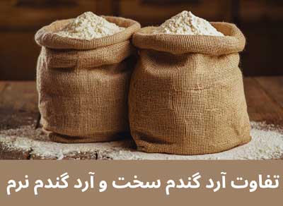 تفاوت آرد گندم سخت و آرد گندم نرم